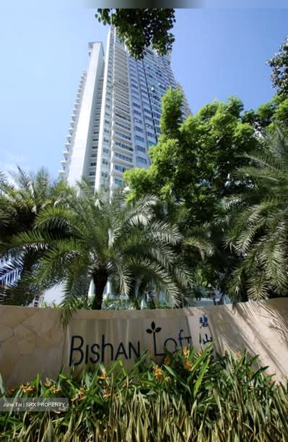 Bishan Loft (D20), Condominium #636604491